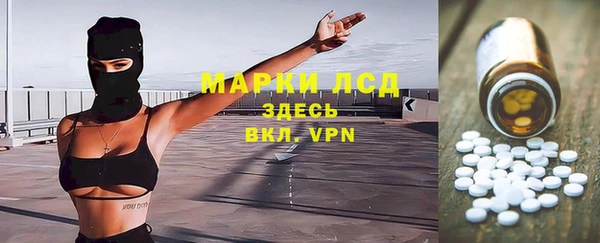 стафф Баксан